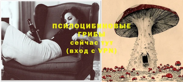 прущие грибы Баксан
