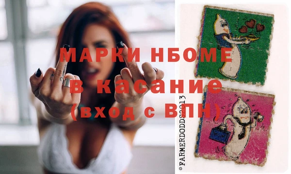 прущие грибы Баксан