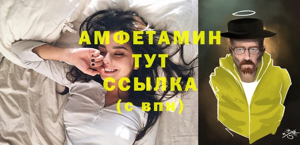прущие грибы Баксан