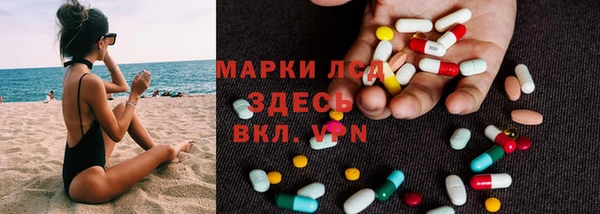 прущие грибы Баксан