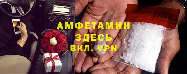 прущие грибы Баксан