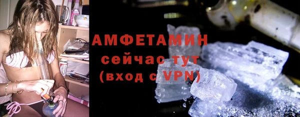 прущие грибы Баксан